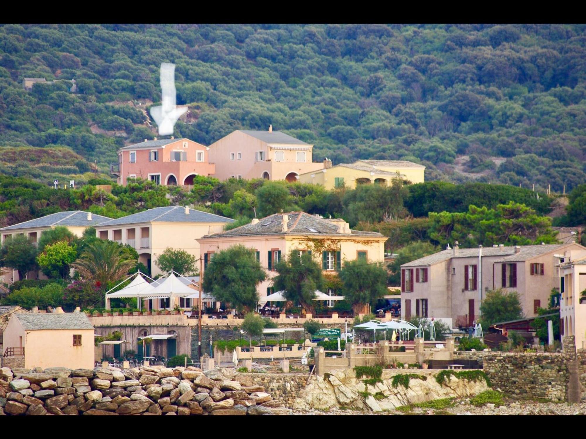 La Giraglia * Centuri